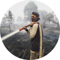 Muhammad arif