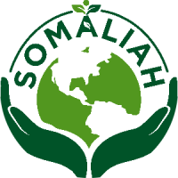 Somaliah BEM FEB UNDIP