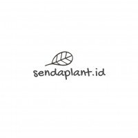 sendaplant.id