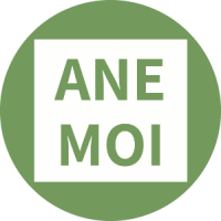 Anemoi Candle