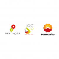 PetroChina International Jabung Ltd.