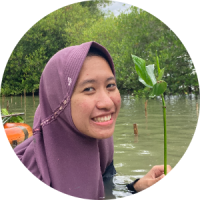 Safira