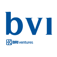 BVI Ventures