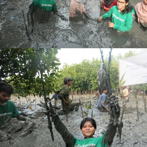 Ikanbandung