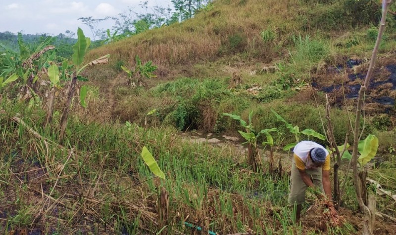1000 Pohon untuk Tambaksari Cilacap