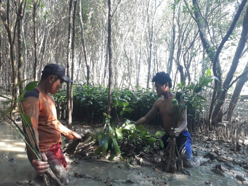Gambar Kampanye