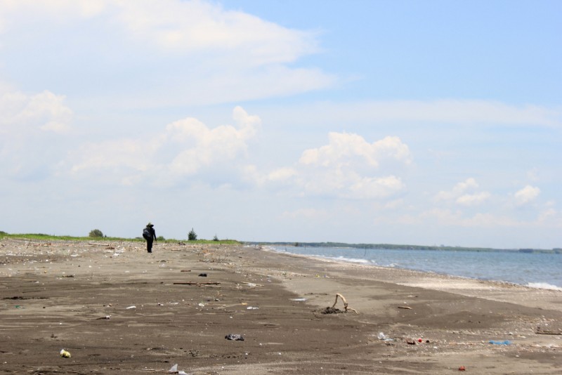 Pohon untuk Tirang yang Hilang