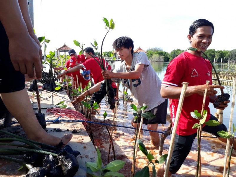 Gambar Kampanye