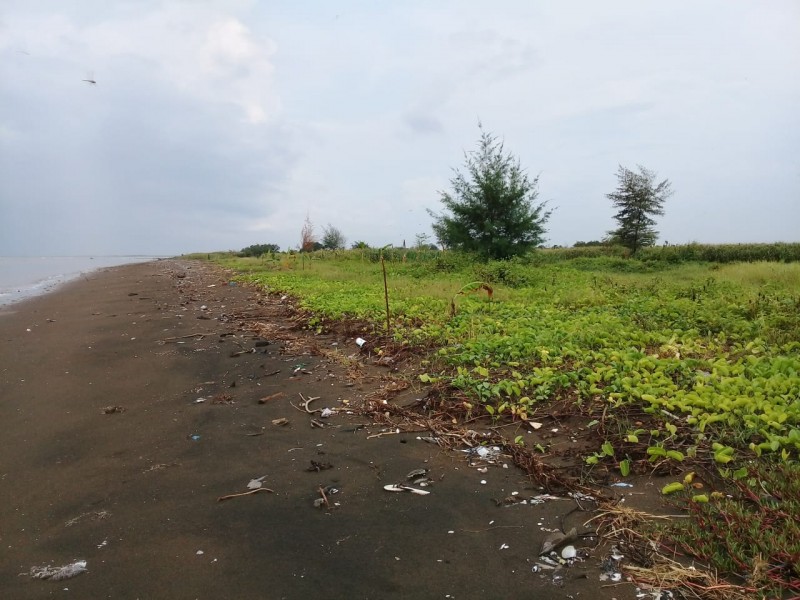 Gambar Kampanye