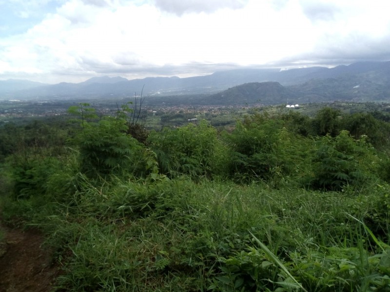 Gambar Kampanye