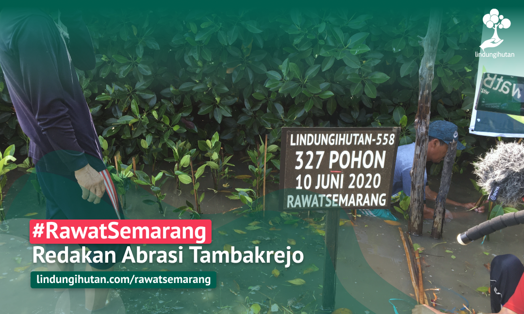 Gambar Kampanye