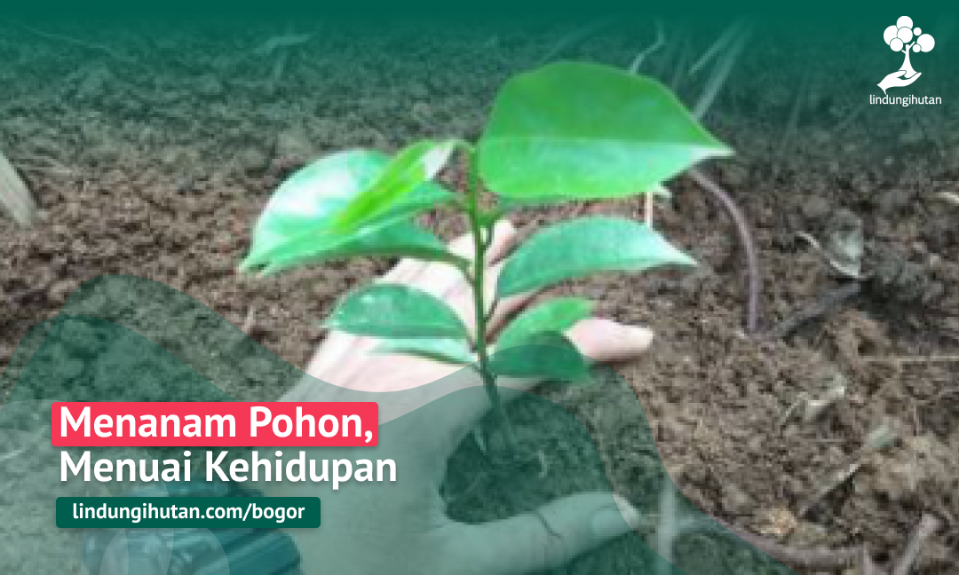 Gambar Kampanye