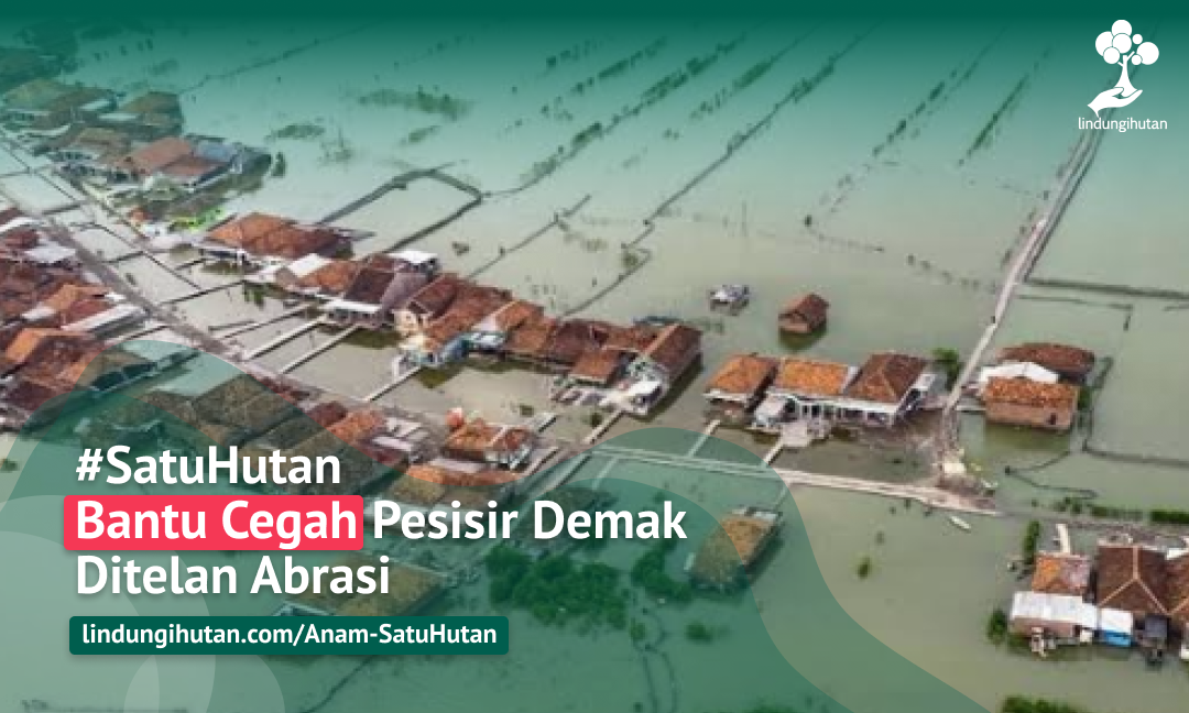 Gambar Kampanye