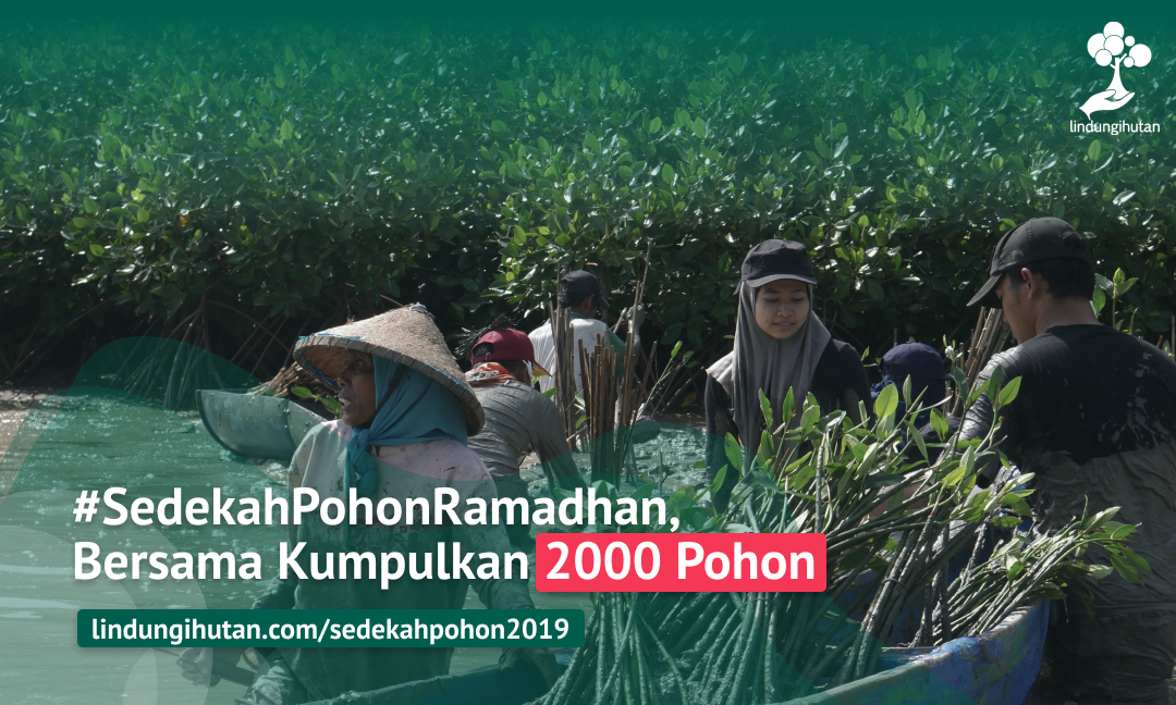 Gambar Kampanye