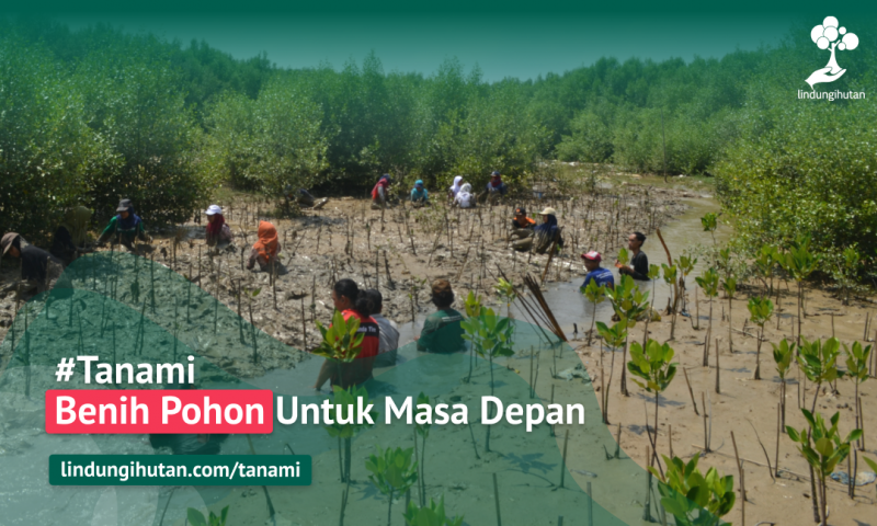Gambar Kampanye