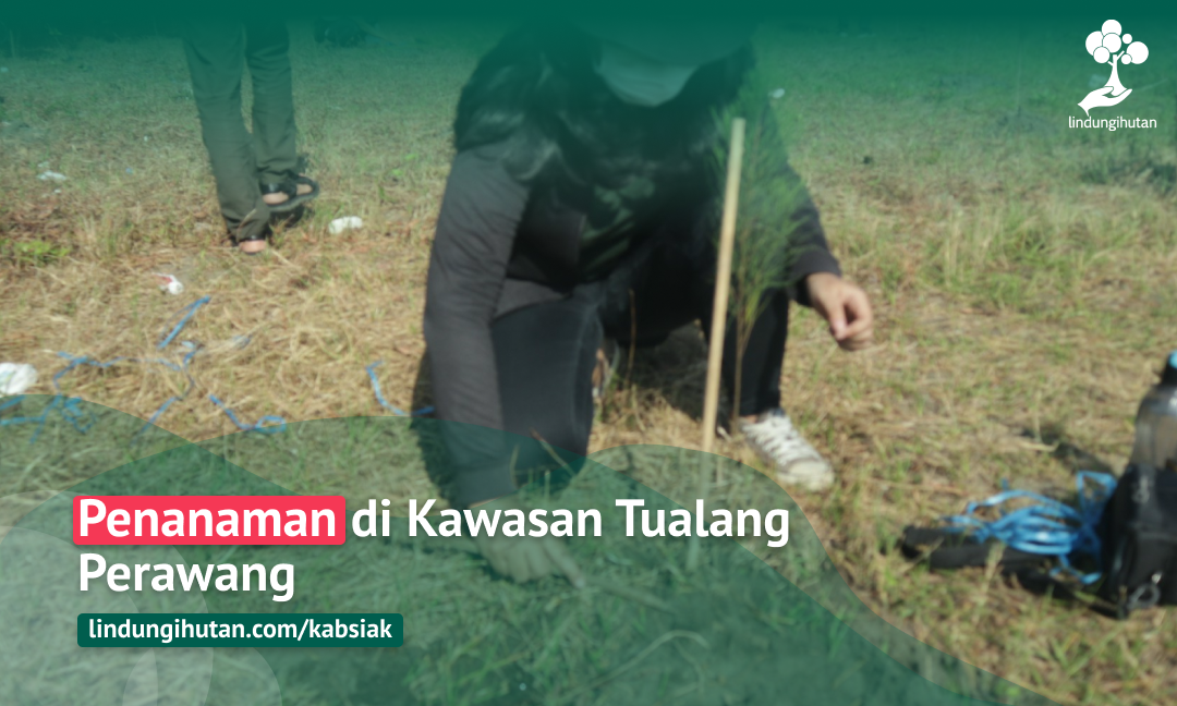 Gambar Kampanye