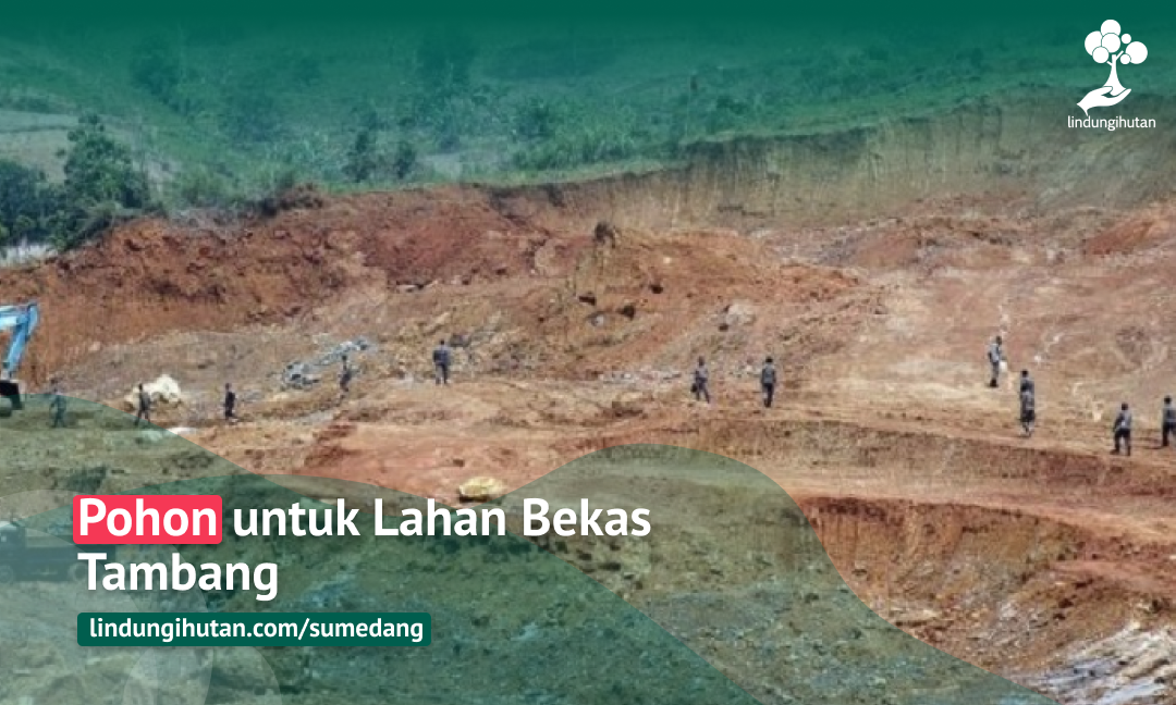 Gambar Kampanye