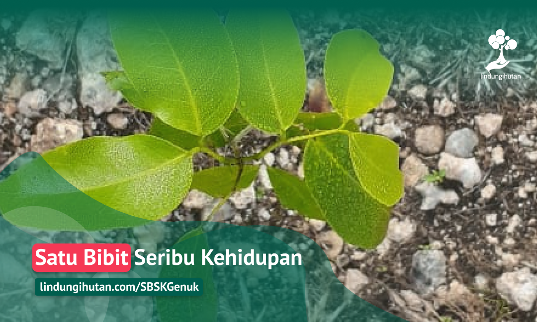 Gambar Kampanye