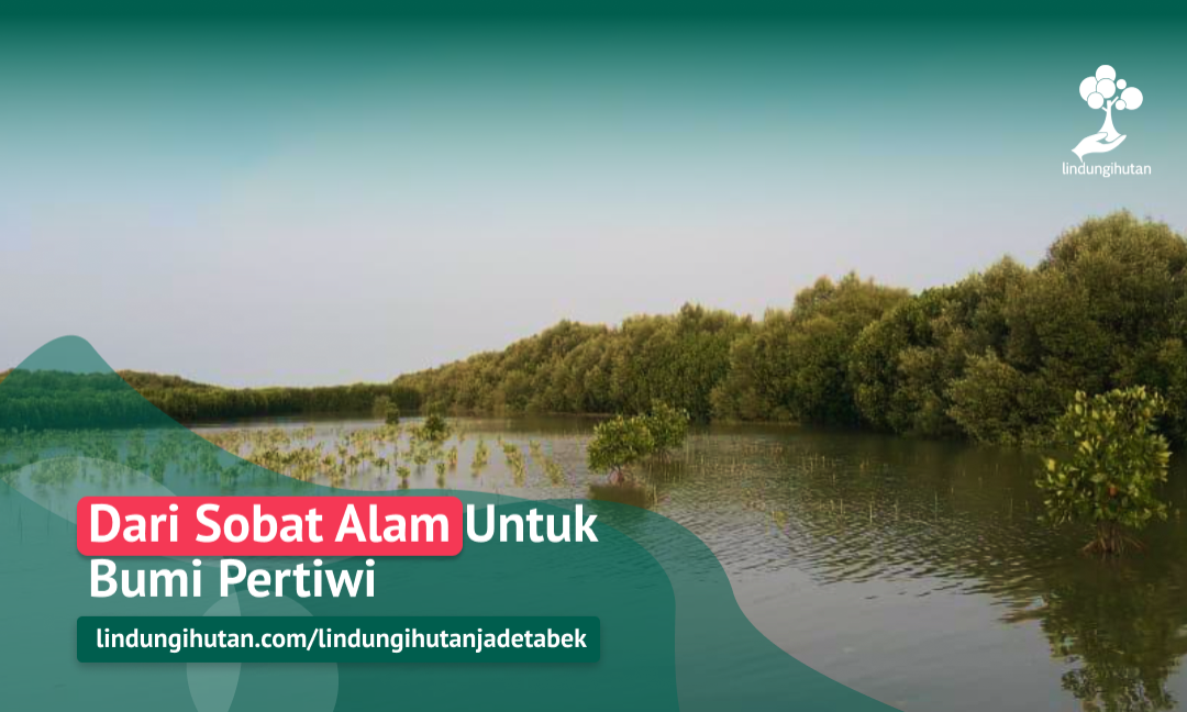 Gambar Kampanye
