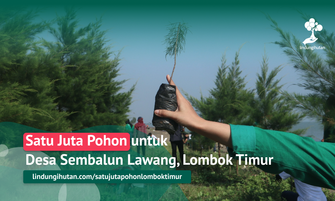 Gambar Kampanye
