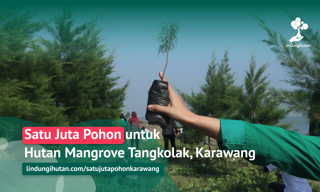 Gambar Kampanye