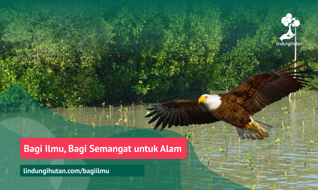 Gambar Kampanye