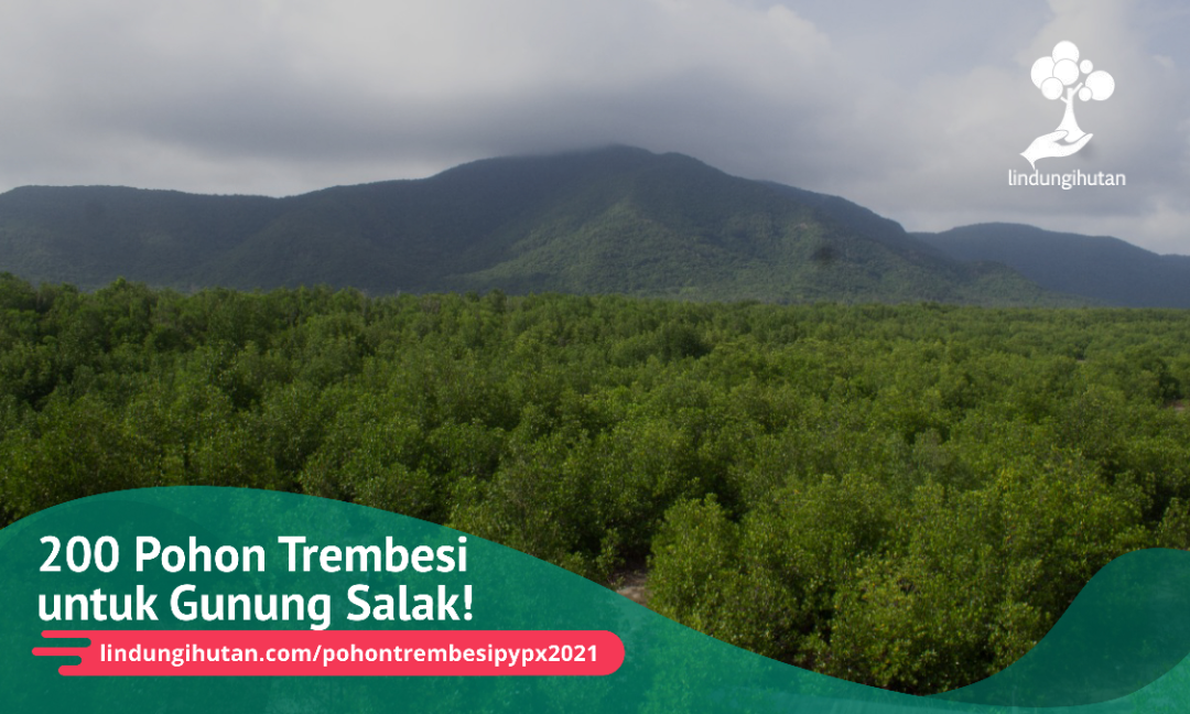 Gambar Kampanye