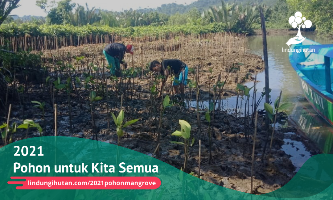 Gambar Kampanye