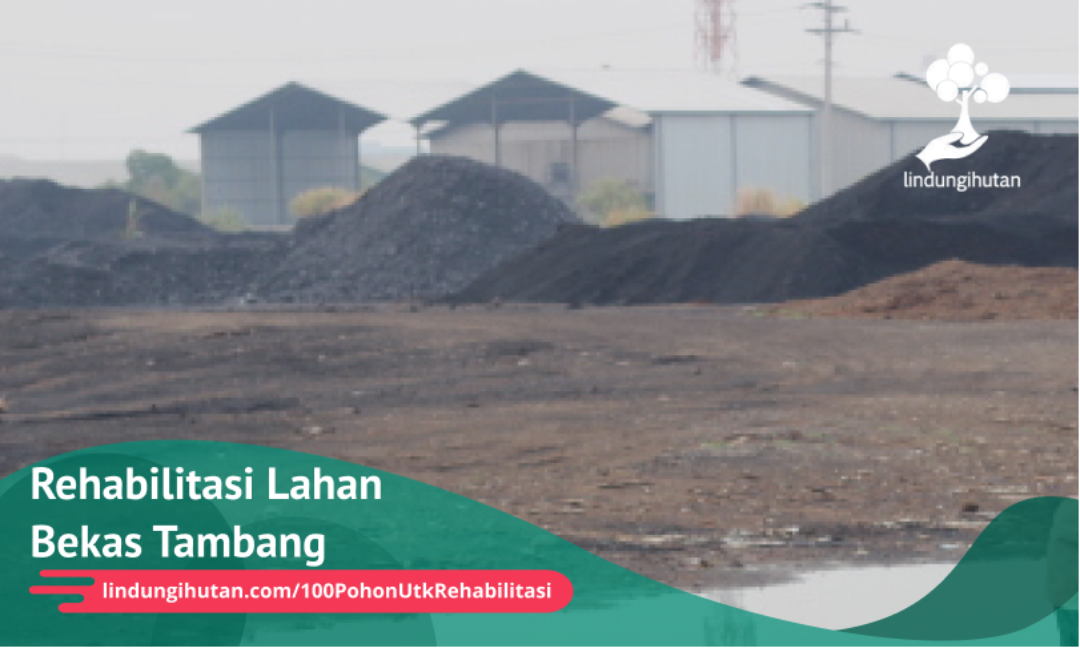 Gambar Kampanye