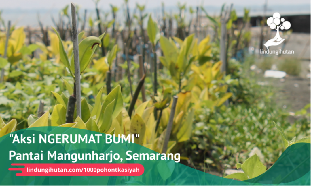Gambar Kampanye