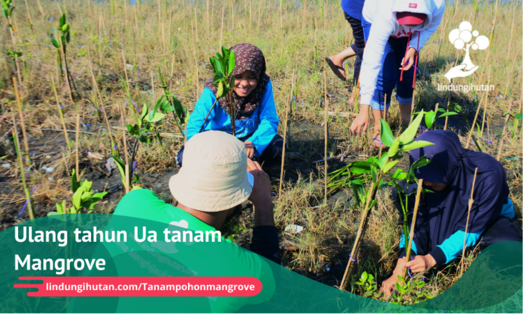 Gambar Kampanye