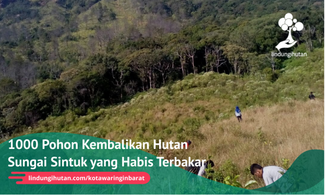Gambar Kampanye
