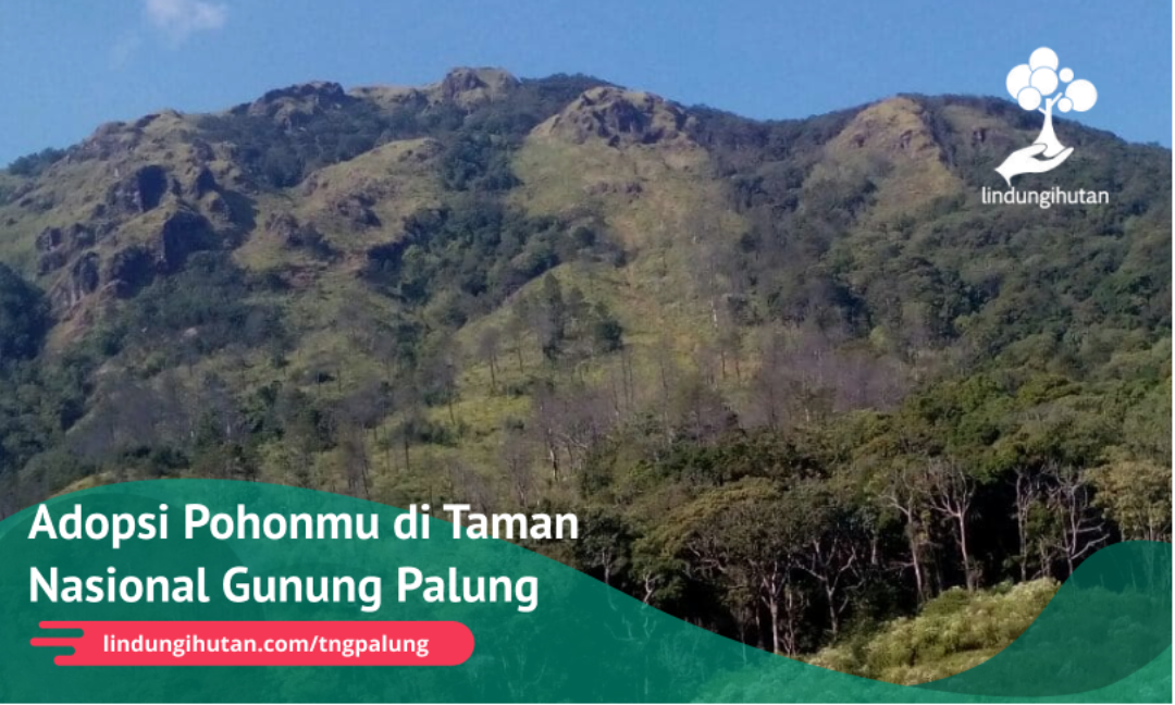 Gambar Kampanye