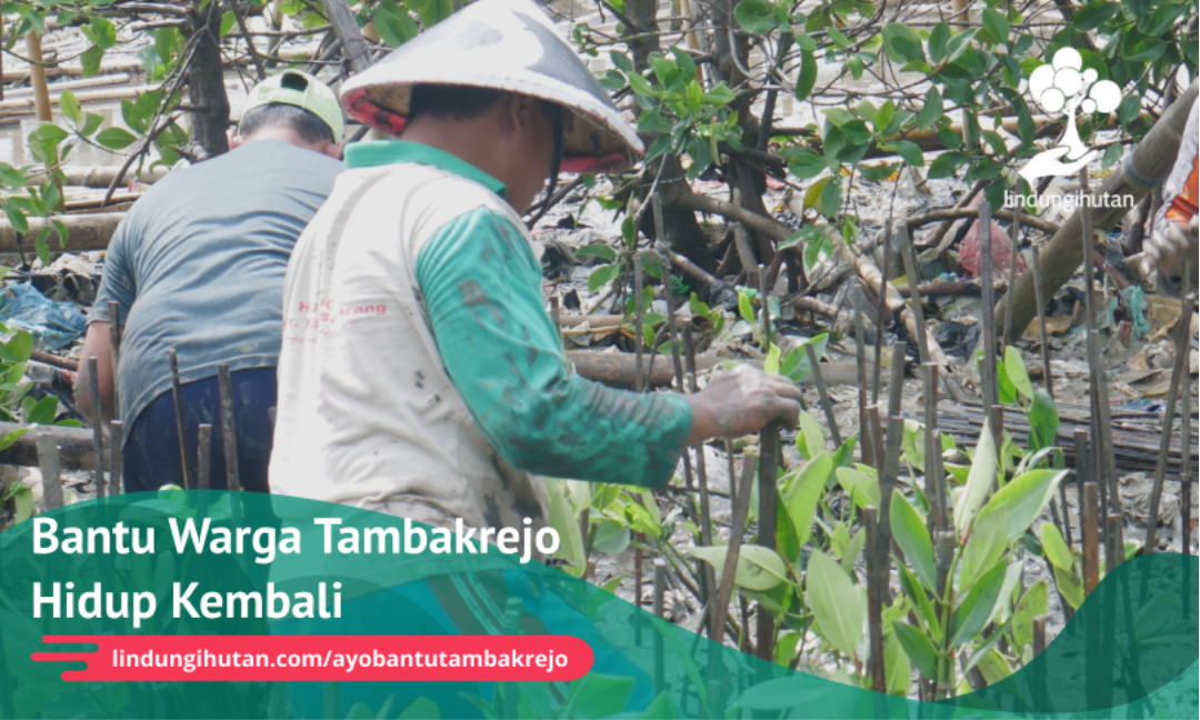 Gambar Kampanye