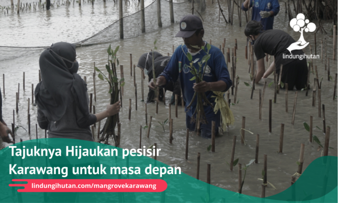 Gambar Kampanye