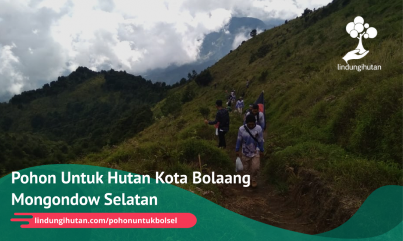 Gambar Kampanye