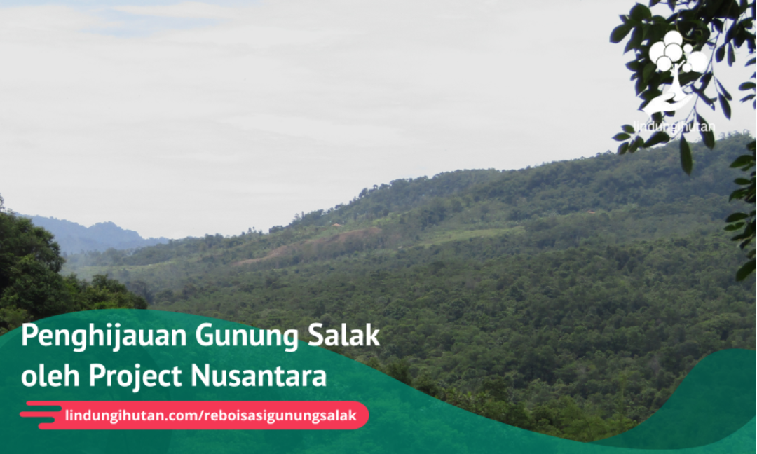 Gambar Kampanye