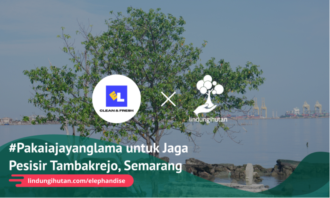 Gambar Kampanye