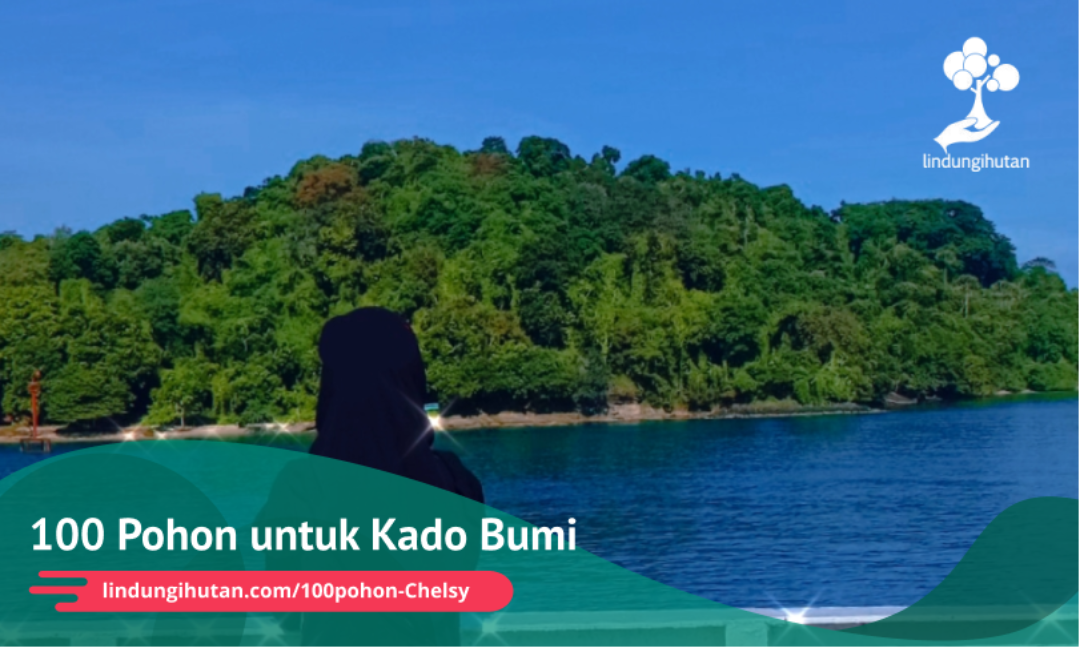 Gambar Kampanye