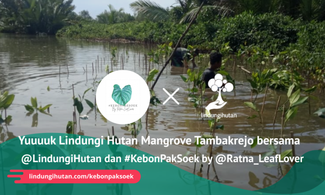 Gambar Kampanye