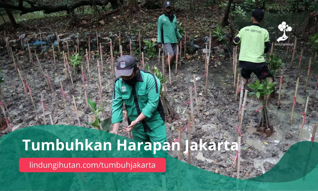 Gambar Kampanye