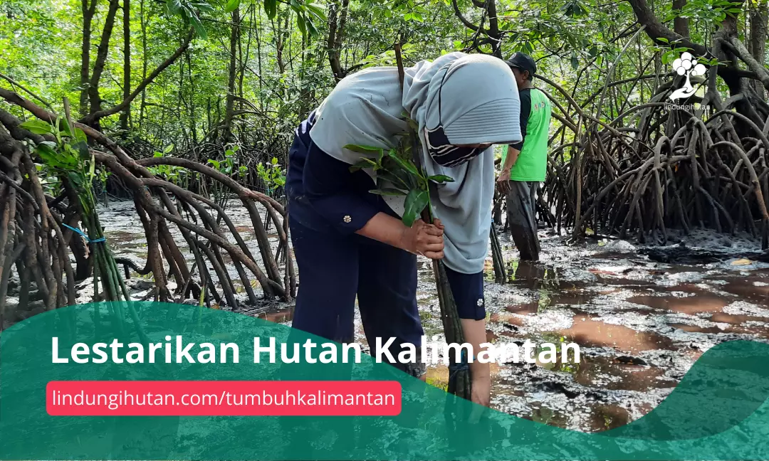 Gambar Kampanye