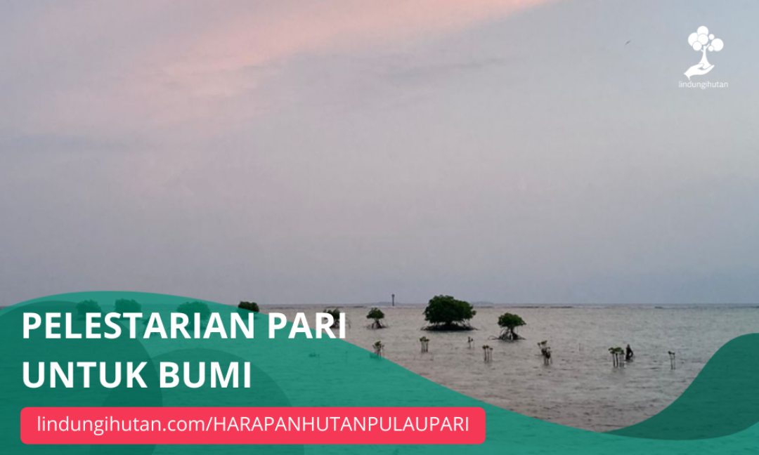 Gambar Kampanye