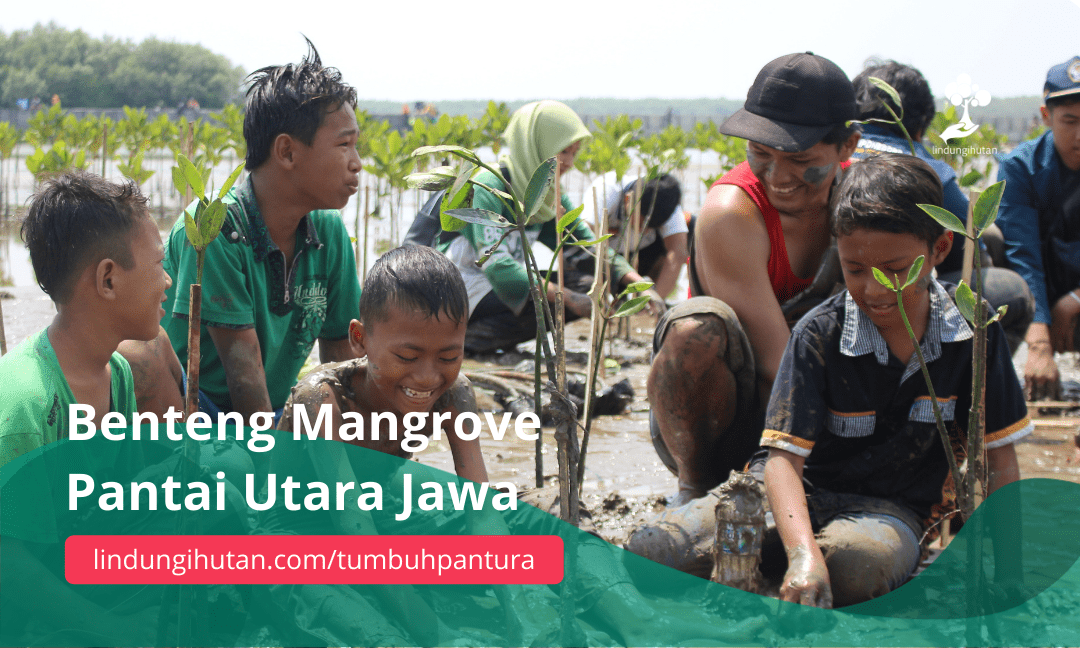 Gambar Kampanye