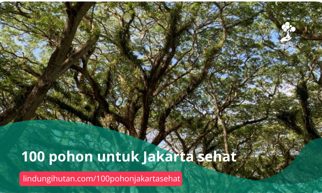 Gambar Kampanye