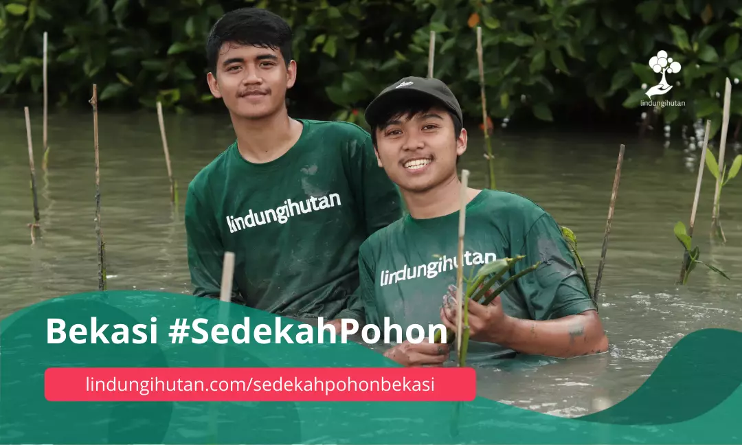 Gambar Kampanye