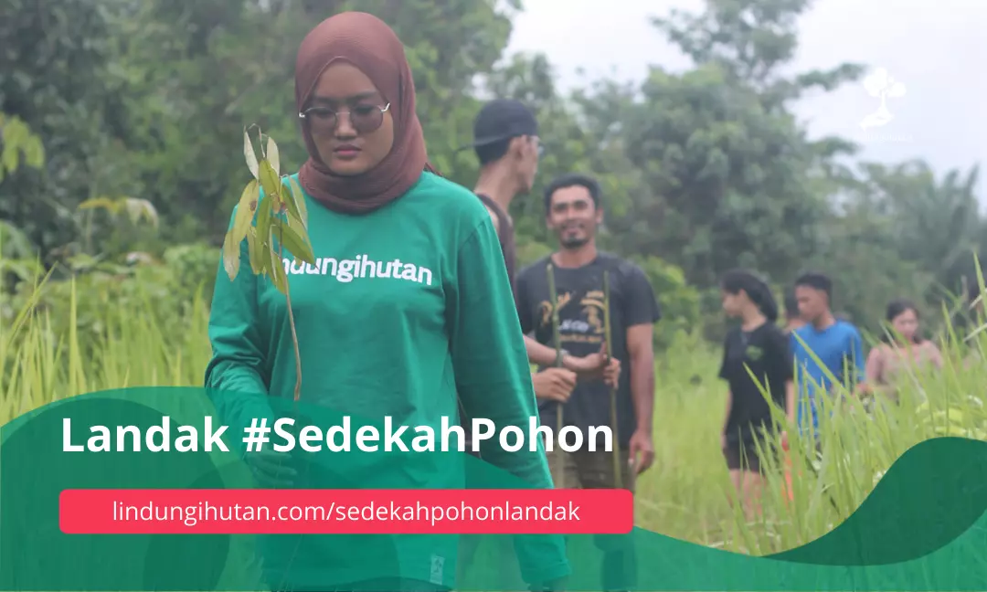 Gambar Kampanye