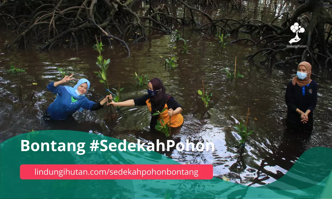 Gambar Kampanye