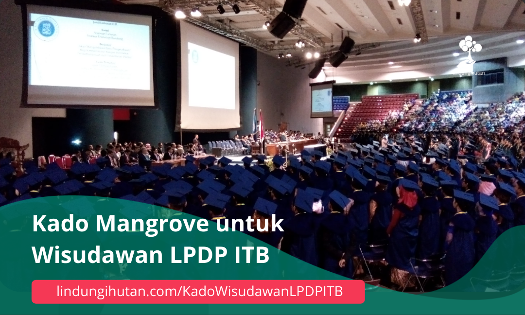 Gambar Kampanye