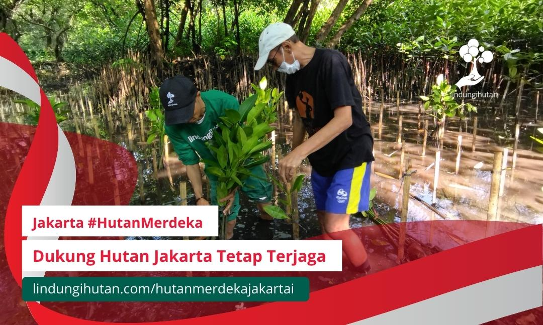 Gambar Kampanye